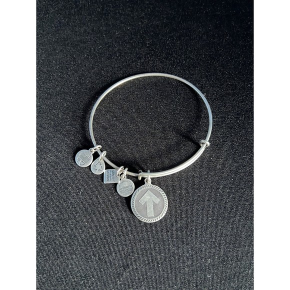 Alex and Ani Bracelet - Stand up to Cancer - Picture 1 of 7